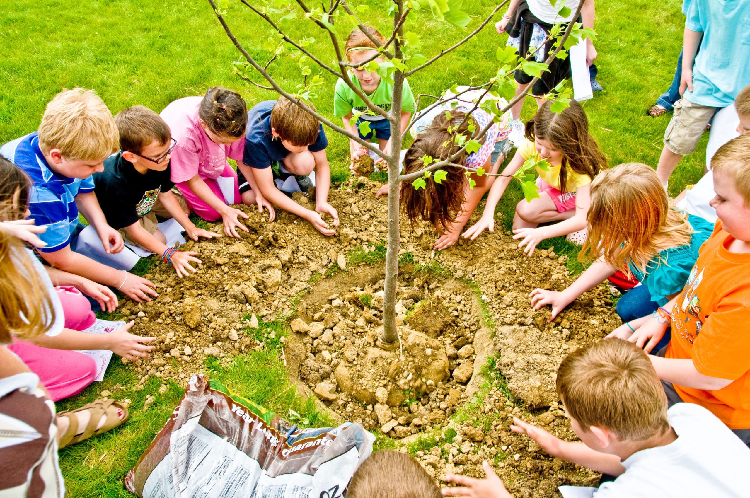 Arbor Day