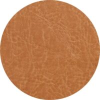 Camel PU Textile for SPUR collection